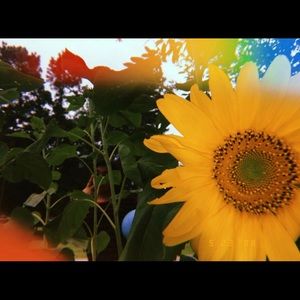 Meet your Posher, Briseis